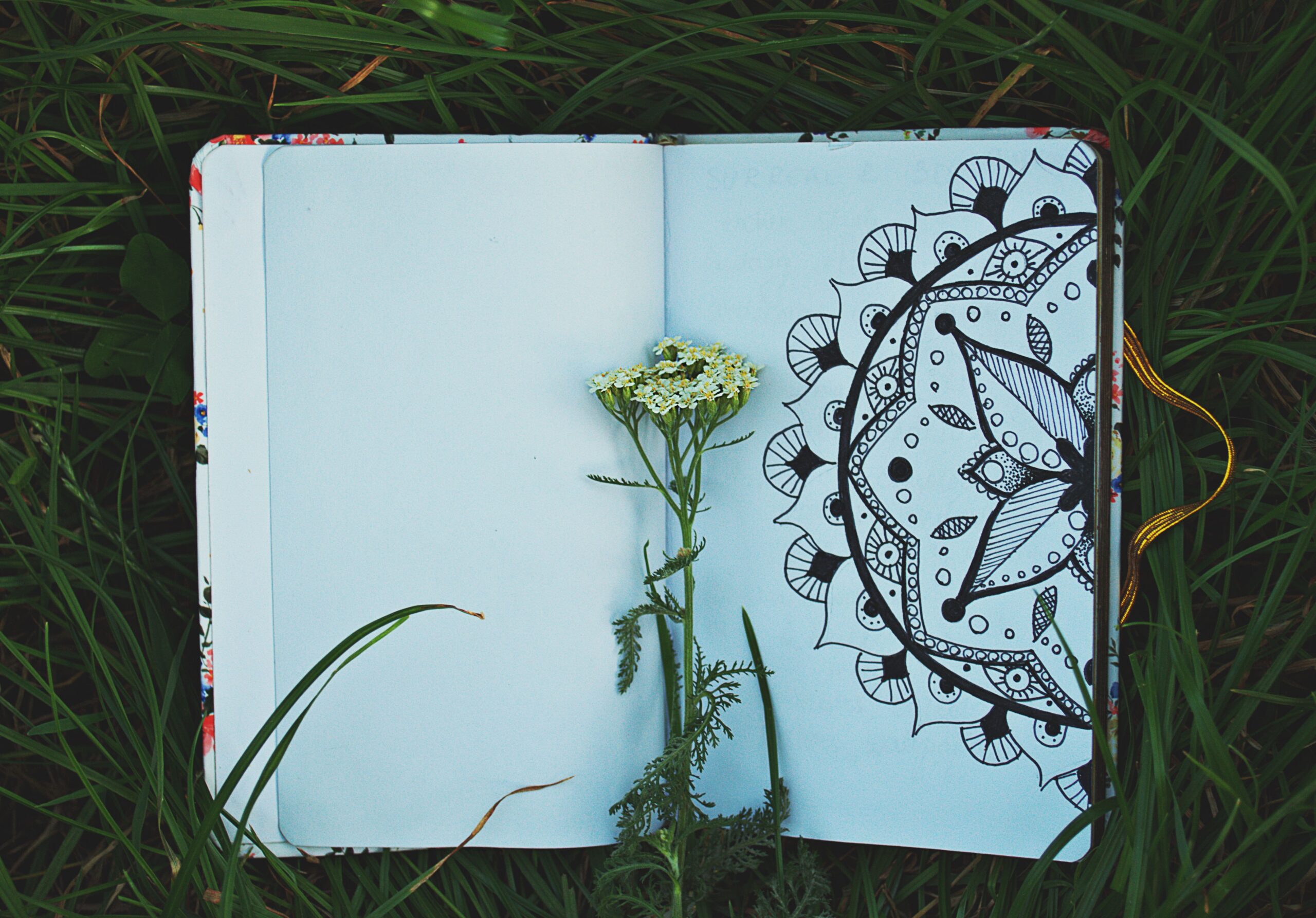 An open notebook with a mandala design lies in fresh grass, accented by a sprig of white flowers.